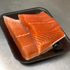 Salmon