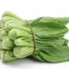 Bok choy