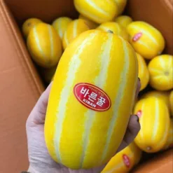 Yellow melon
